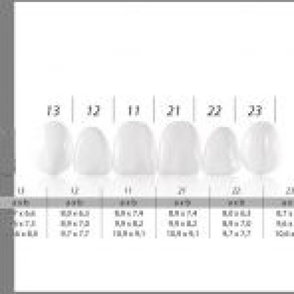 COMPONEER Aesthetic Veneers Enamel (6 pcs) - Size S - White Opal Enamel Img: 201907271