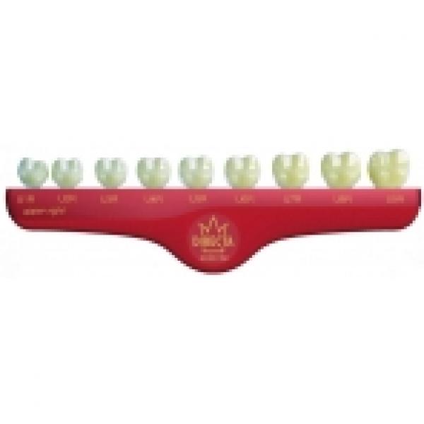 Opaque Polycarbonate Crowns Nº 300 Img: 202303251