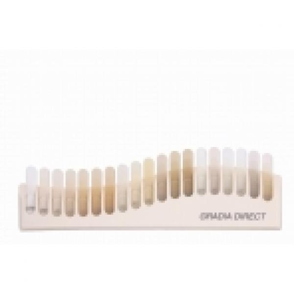 GRADIA DIRECT COLOR GUIDE AESTHETIC COMPOSITES Img: 201807031