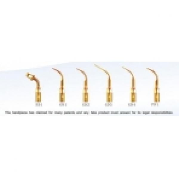 ASSORTED POINTS SCALER FOR ULTRASOUNDS D5 APARTHOLOGY Contains: GD1Tx2, GD2Tx Img: 202210151