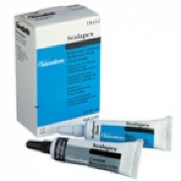 SEALAPEX STANDARD PACK SEALERS (1x30gr.) OBTURATION Img: 201807031