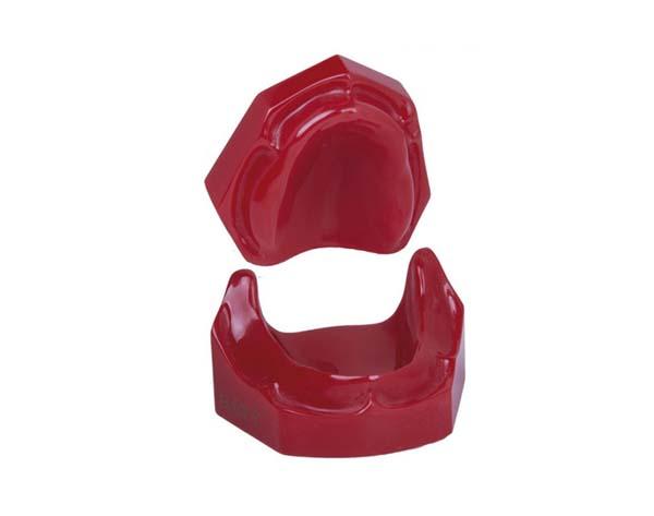 Total toothless models Img: 202107241