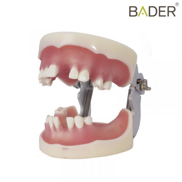 Type Partially edentulous Articulated Img: 202008291