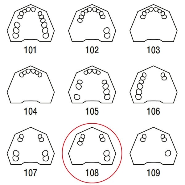 A-3 partially edentulous typodont Partially edentulous - TOK 108 Img: 202306031