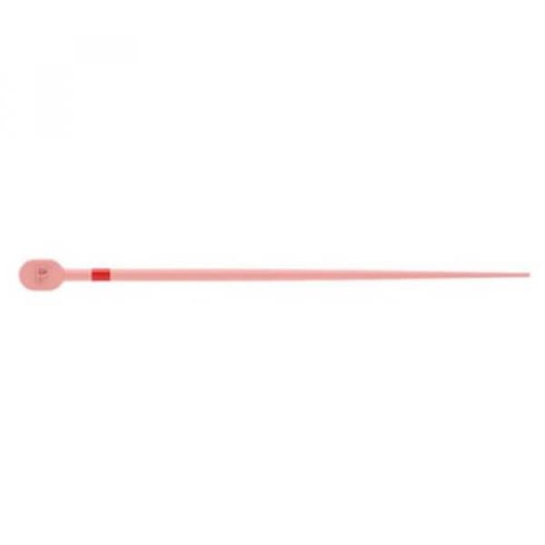 TruNatomy Conform Fit: Gutta-percha tips (60 pcs) - Prime Img: 202107101