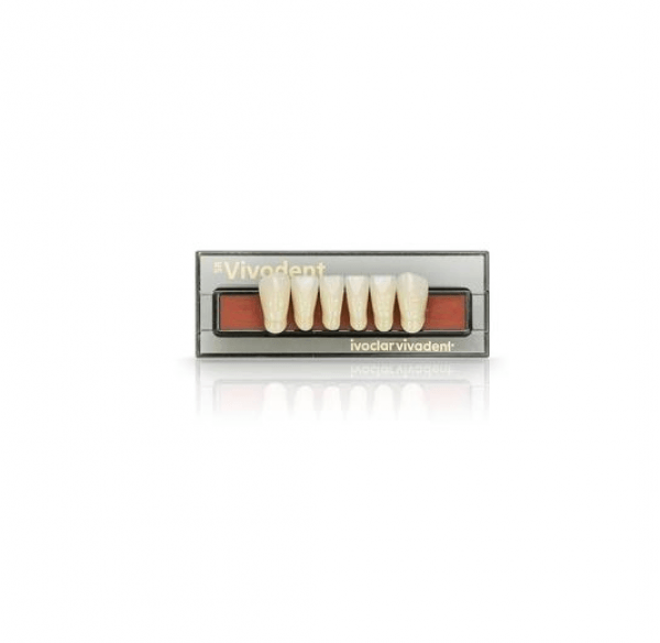 Lower anterior SR VIVODENT teeth A2 - A2 110 Img: 201907271