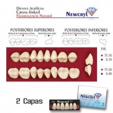 NEWCRYL-VITA 34L Upper A1 Teeth Img: 201807031