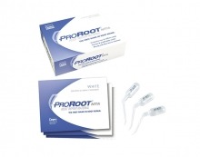 PRO ROOT MTA CEMENTOS Nº2 (2x1g.) Img: 201911301