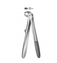 280/6 FOR.KLEIN CHILD MOLAR.INF Img: 202110091
