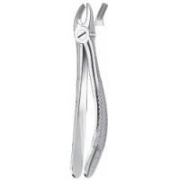 39 FORCEPS MOLAR CHILDREN SUP. Img: 201811031
