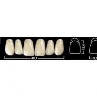 IVOSTAR AD ant sup 43 A2 Img: 201807031 IVOSTAR AD ant sup 43 A2 Img: 201807031