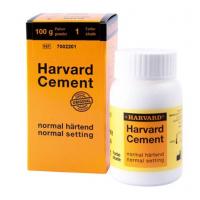 Normal hardening cement in powder form (100 gr) - FB1 Img: 202202121