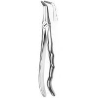 346 FORCEPS RAICES SUP.M / ANAT. Img: 201807031