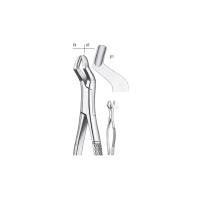409 / 10S FORCEPS Img: 201811031