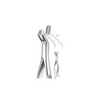 409 / 210H CORDALES FORCEPS SUP. Img: 201811031