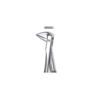 M2074 FORCEPS Img: 201811031