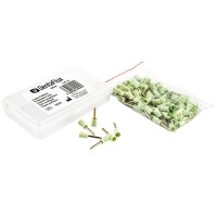 Monoart Plastic Cups Lilac, 200 ml, 100/Pkg. - Dental Wholesale Direct