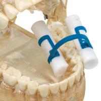 Positioner Porta cotton Intraoral - Desechables Plástico (100ud) Img: 201905251
