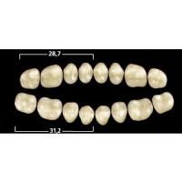 GNATHOSTAR AD post inf D80 A1 Img: 201807031 GNATHOSTAR AD post inf D80 A1 Img: 201807031