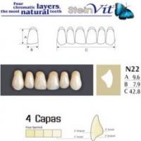 TEETH STEINVIT N22 UP A1 Img: 201811031
