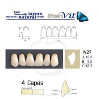 TEETH STEINVIT N27 UP A4 Img: 201811031