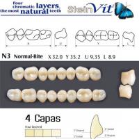 TEETH STEINVIT N3 LO A1 Img: 201811031