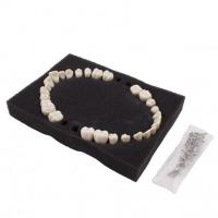BADER NISSIN PAEDRIACTIC REPLACEMENT TEETH Img: 202206251 BADER NISSIN PAEDRIACTIC REPLACEMENT TEETH Img: 202206251