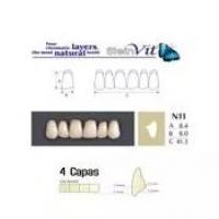 TEETH STEINVIT N13 UP D3 Img: 201811031