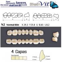 TEETH STEINVIT N2 UP D3 Img: 201811031