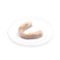 Rigid thermoformable discs (25 pcs) - 0.5 mm Img: 202212241