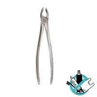 Extraction Forceps for Exodontic Extraction Img: 202308191