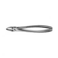 Büchs - Forceps (different types) - P/upper incisors and canines Img: 202104171