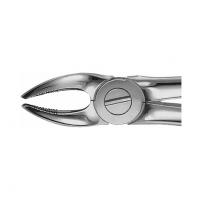 Büchs - Forceps (different types) - P/premolars above Img: 202104171 Büchs - Forceps (different types) - P/premolars above Img: 202104171