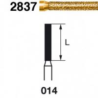 DIAMOND FG  BURS 2837-314-014 (cx5) Img: 201811031