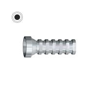 External Hexagonal Provisional Cylinder (Branemark® type ø4.1)-Titanium. Img: 202510041 External Hexagonal Provisional Cylinder (Branemark® type ø4.1)-Titanium. Img: 202510041