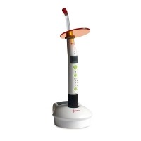 WOODPECKER/DTE WIRELESS LED PHOTOCURING APARATOLOGY LAMP Img: 202304151