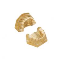 AM-5 E: Realistic extraction type for paediatric dentistry Img: 202107101