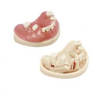 A-J OP OK: Surgical Exercise Training Model Img: 202107101