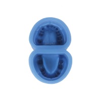 Silicone Mold for Edentulous Dental Prostheses - Unit. Img: 202404131