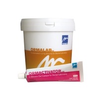 Ormalab 95: Condensation Curing Silicone and Catalyst - 1,6 kg  Img: 202303111