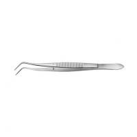 Meriam Dental Clamp (160 mm) Img: 202203051 Meriam Dental Clamp (160 mm) Img: 202203051