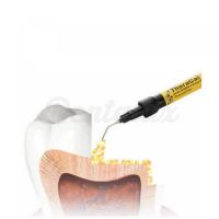 Theracal - protective pulp (1gr.) - syringe size 1 g Img: 202509131