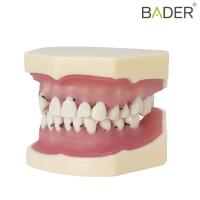 Typodonto Internship Periodontics w/ calculation  Img: 202102271