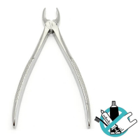 Extraction Forceps for Exodontic Extraction - 1 Img: 202509201