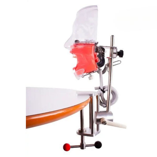 Modelo simulador: Fantoma - Simplicity Img: 202411091