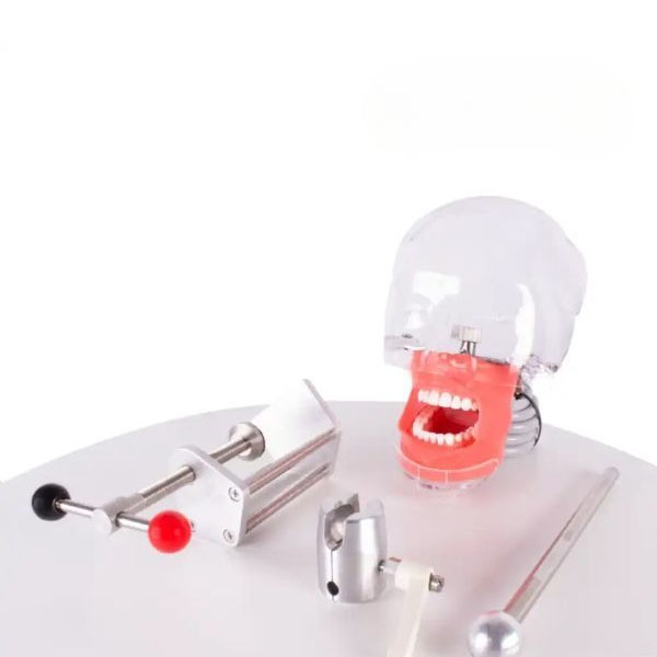 Modelo simulador: Fantoma - Simplicity Img: 202411091