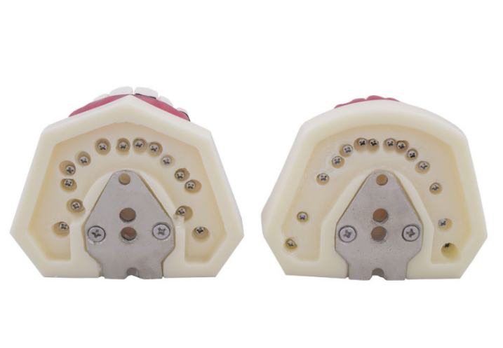 TIPODONTO DE PERIODONCIA SIN ARTICULADOR Img: 201905041