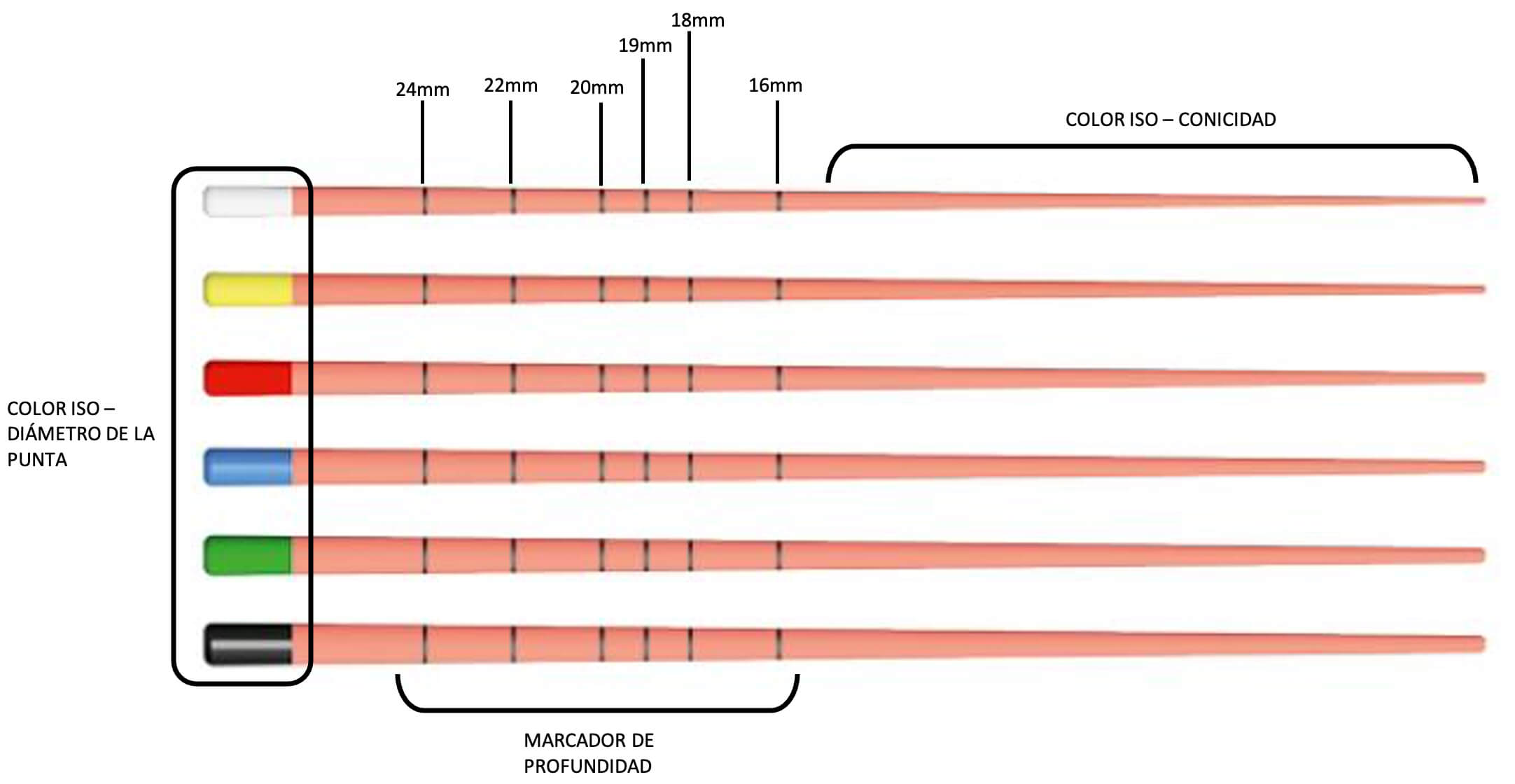 La Guía Definitiva para Gutapercha Dental Para qué sirve en Endodoncia