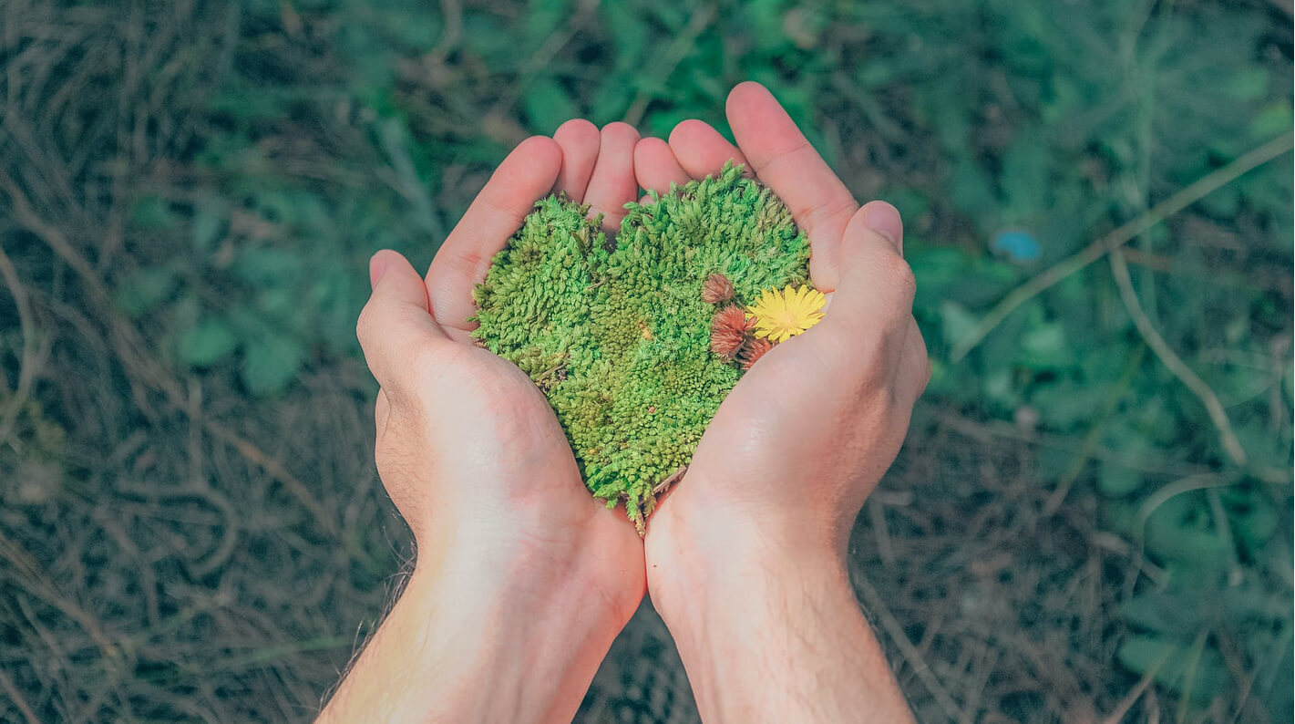 cuidado medioambiente