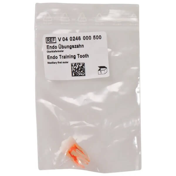 Diente para Prácticas Endo Img: 202501251